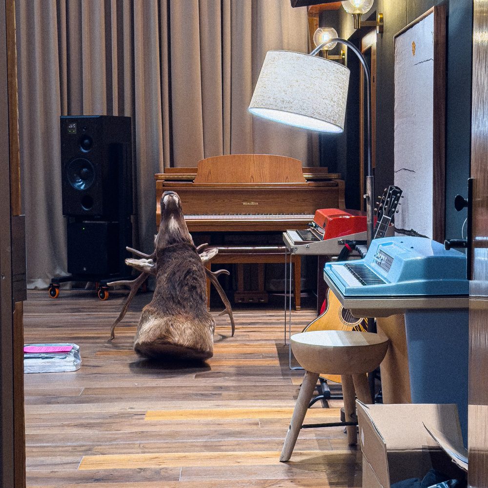 Live Room Wood Floor